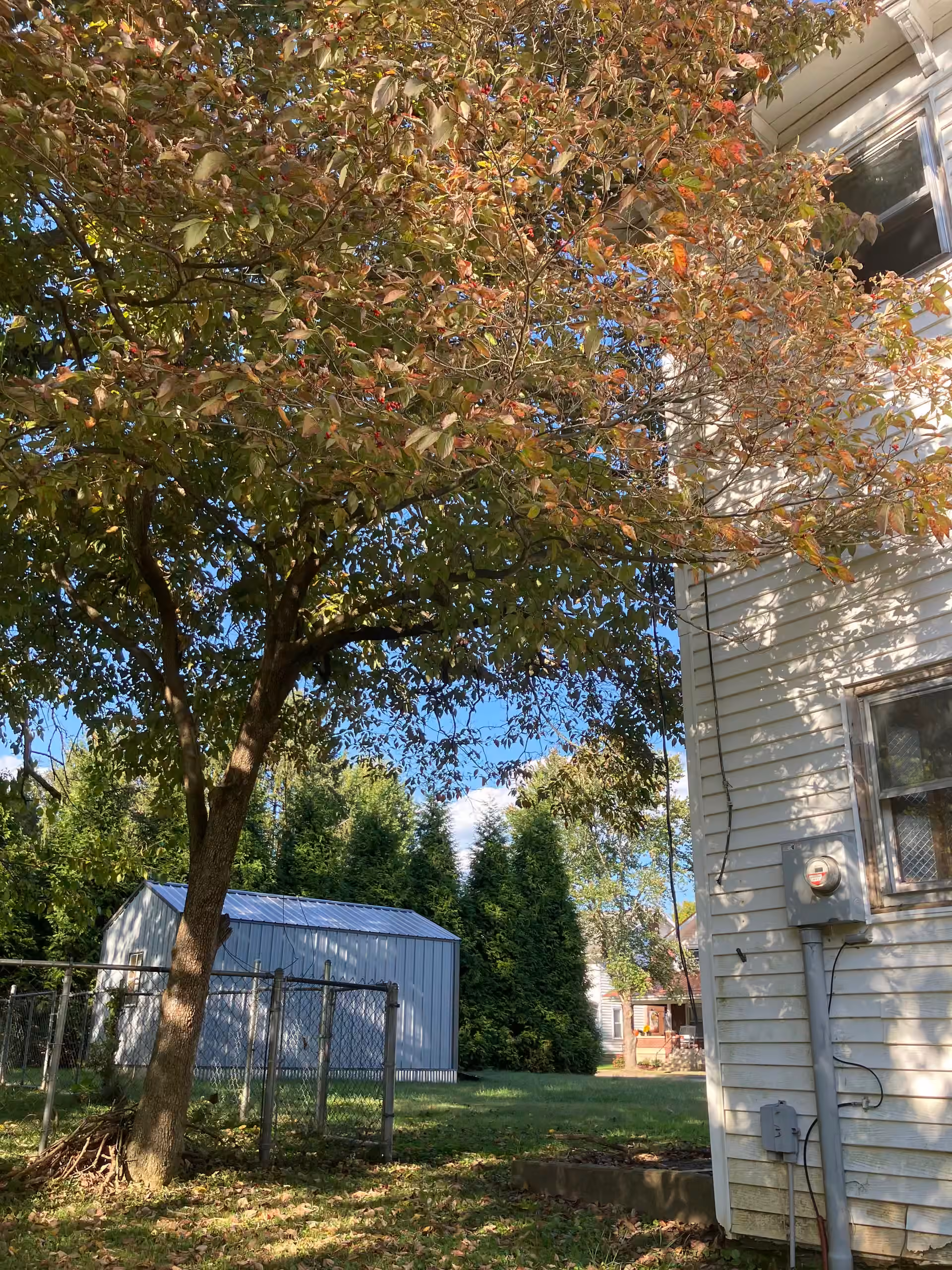 White Cottage backyard and side exterior with trees and lawn